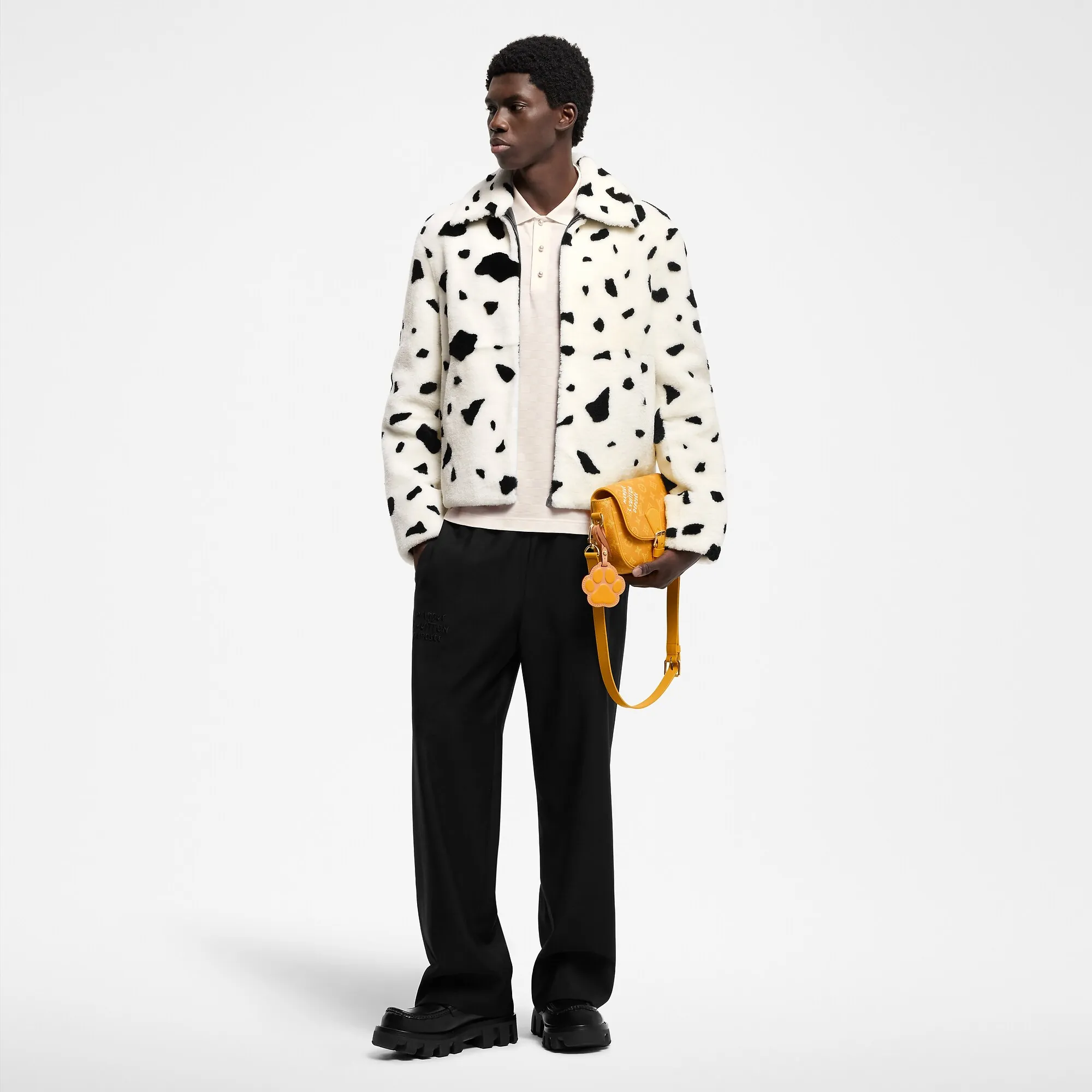 Louis Vuitton Shearling Blouson - Men - Ready - to - Wear 1AGJF3