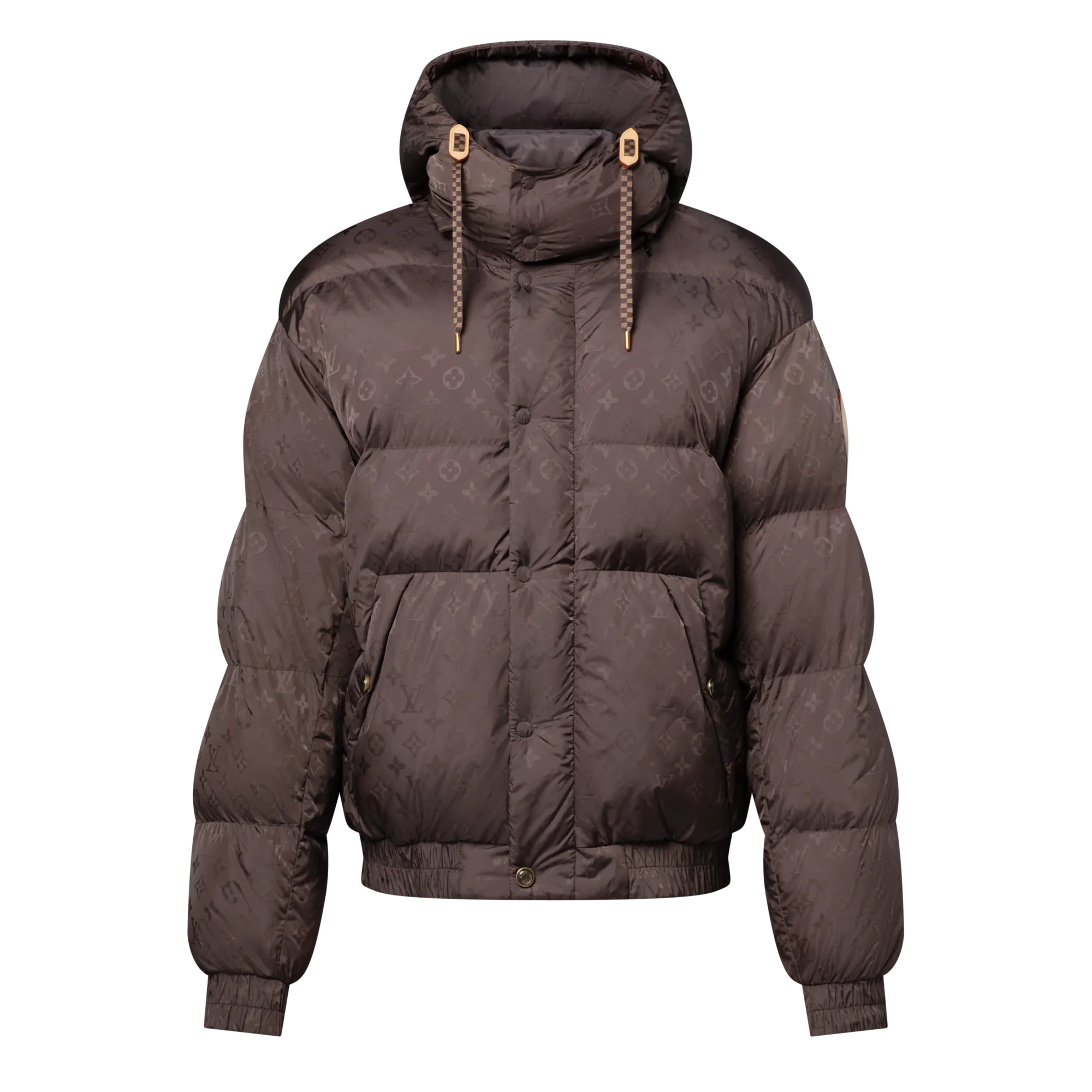 Louis Vuitton Monogram Down Blouson - Men - Ready - to - Wear 1AJBCK Brown