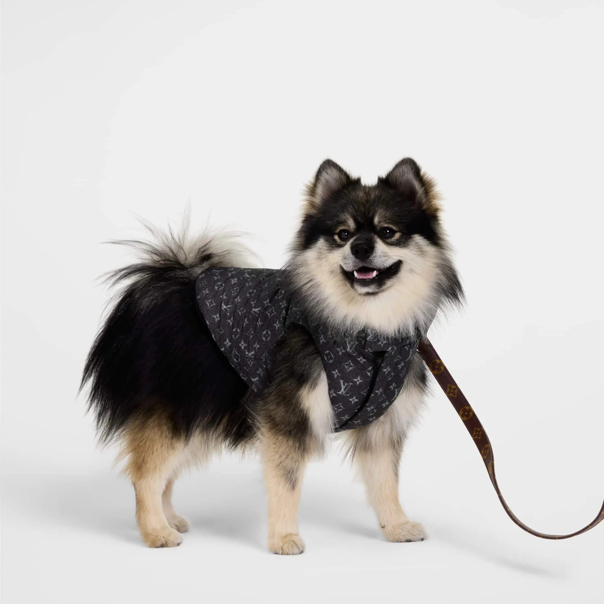 Louis Vuitton Dog Puffer Jacket PM Polyester - Trunks, Travel and Home - Pets Accessories GI1448 Blue