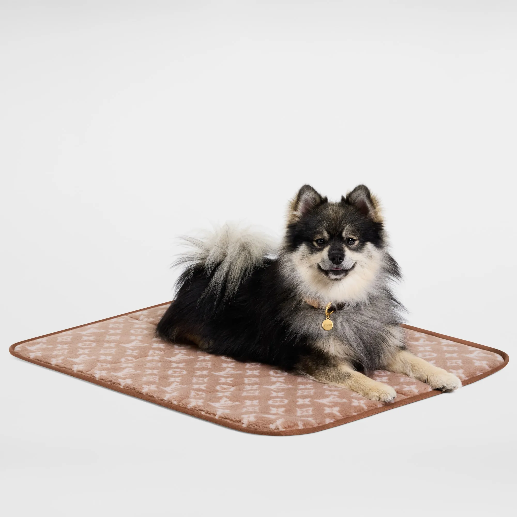 Louis Vuitton Travel Dog Carpet Polyester - Trunks, Travel and Home - Pets Accessories GI1455 Brown