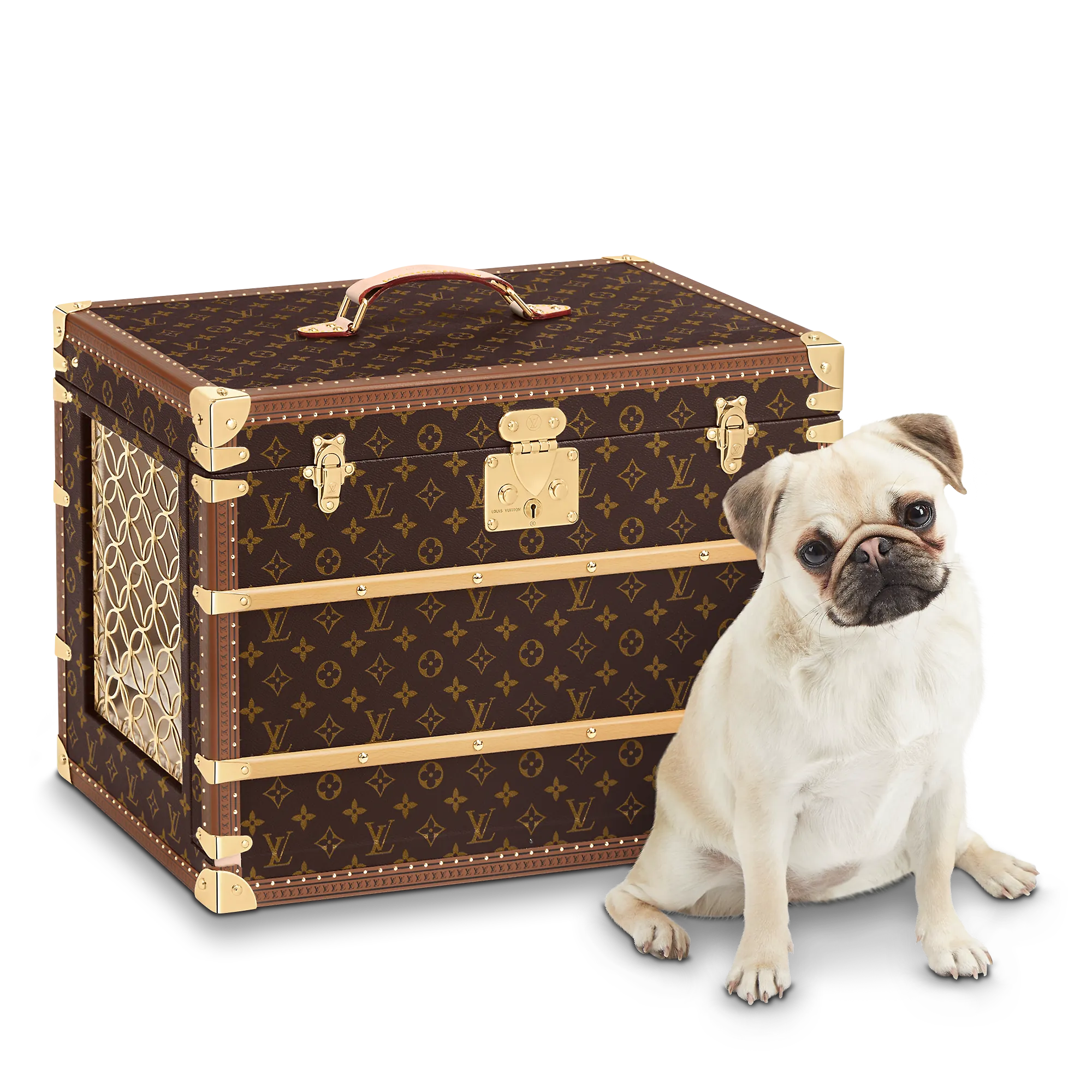 Louis Vuitton Malle Chien Monogram - Art of Living - Trunks and Travel M10063