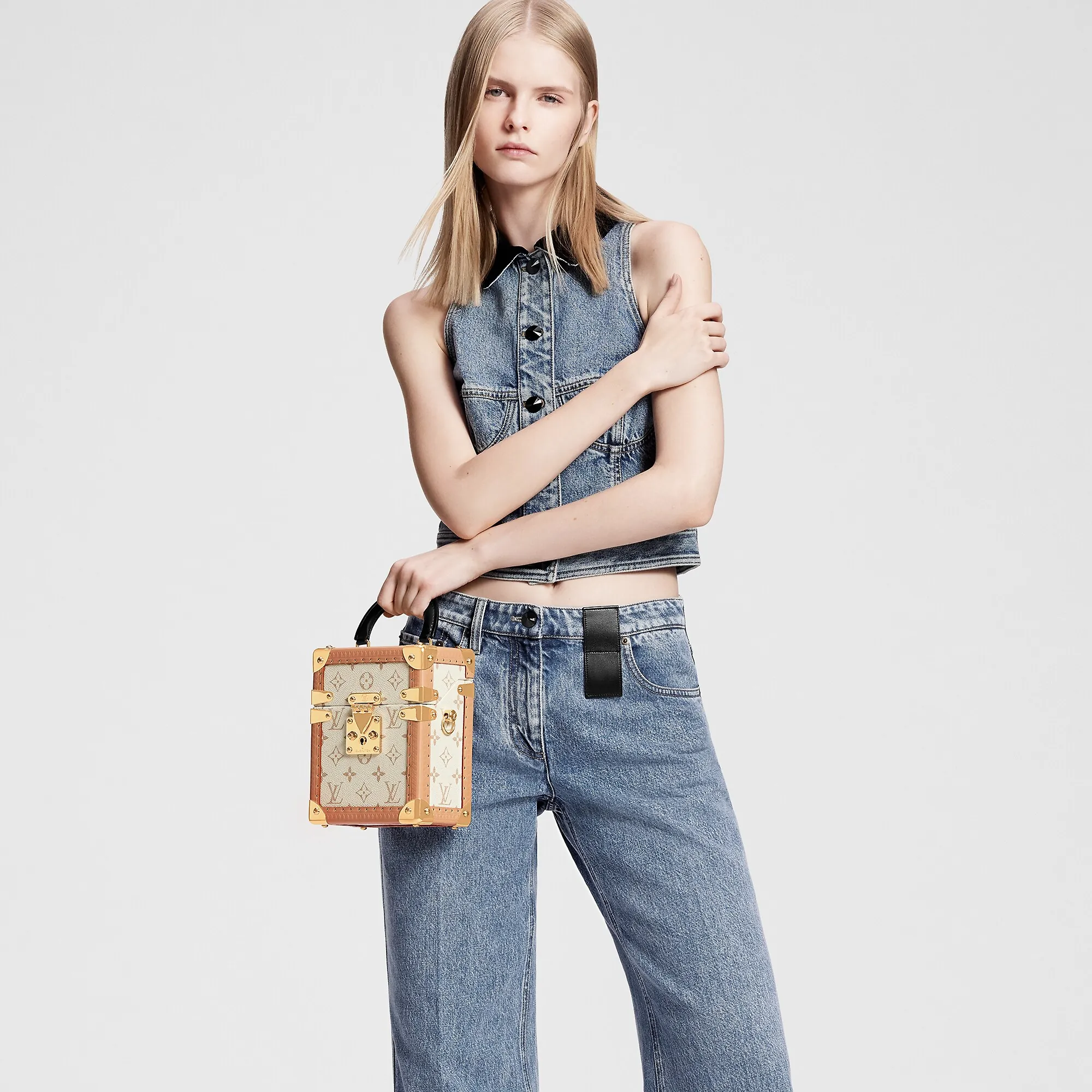 Louis Vuitton Camera Box Monogram Beige Other Monogram Canvas - Art of Living - Trunks and Travel M10329