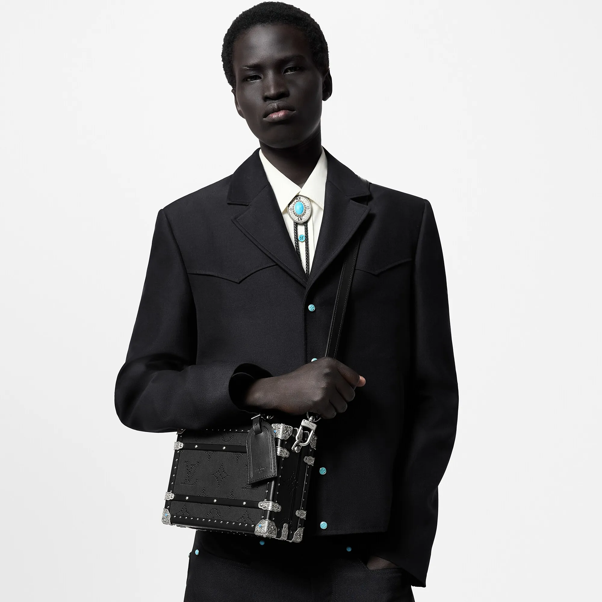 Louis Vuitton Handle Trunk LV Dart Other Leathers - Les Extraordinaires - Hardsided M11161