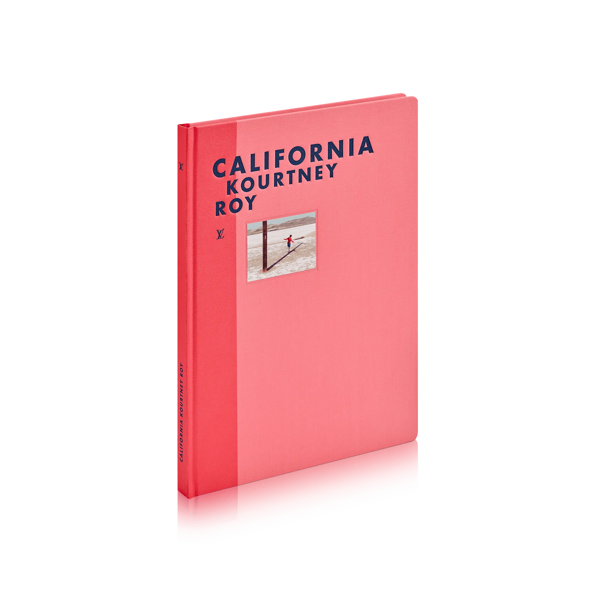 Louis Vuitton Fashion Eye California - Men - Travel R08279