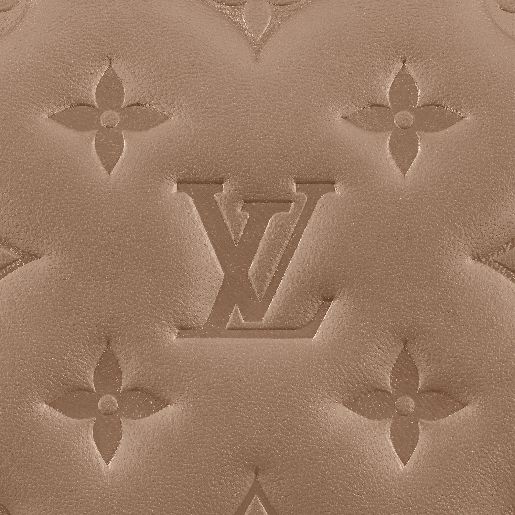 Louis Vuitton Coussin PM H27 in Taupe - Women - Handbags M59277