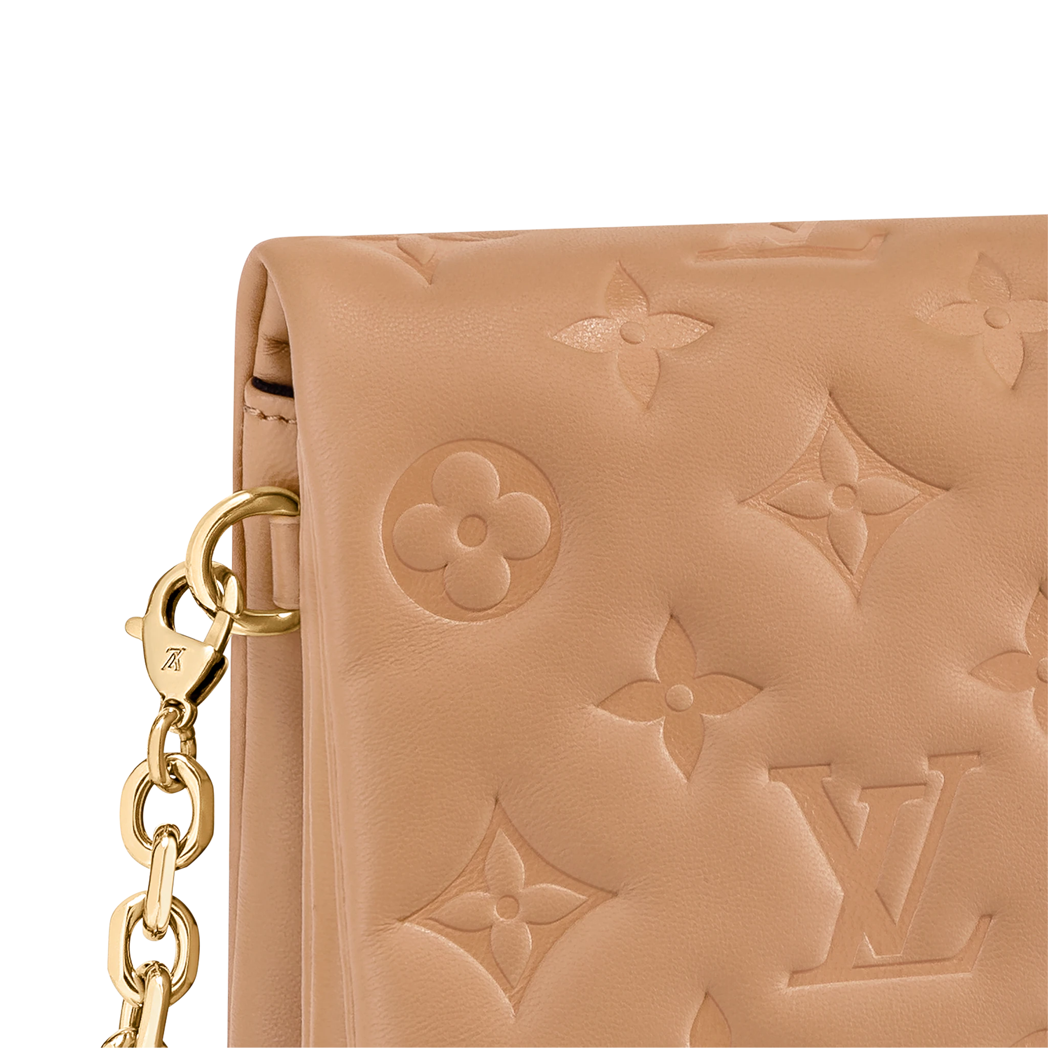 Louis Vuitton Pochette Coussin Other Leathers in Camel - Small Leather Goods M80818