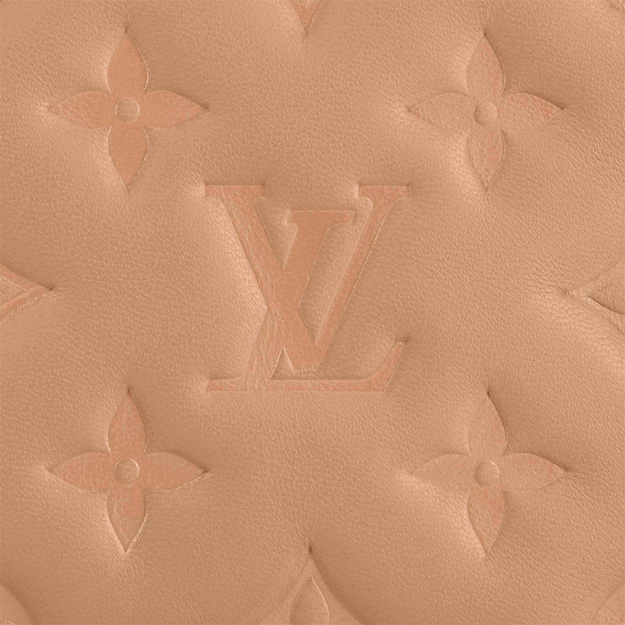 Louis Vuitton Pochette Coussin Other Leathers in Camel - Small Leather Goods M80818