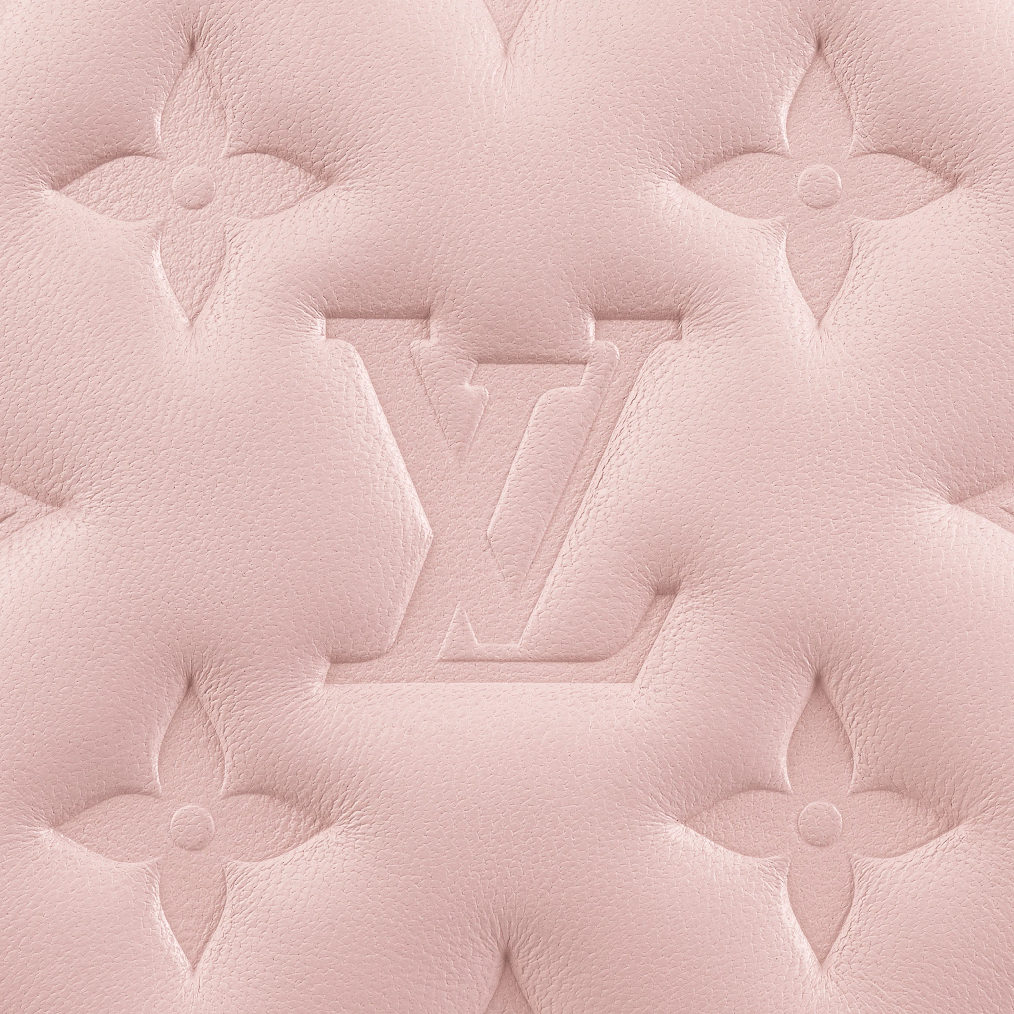 Louis Vuitton Pochette Coussin Other Leathers in Black - Small Leather Goods M80996