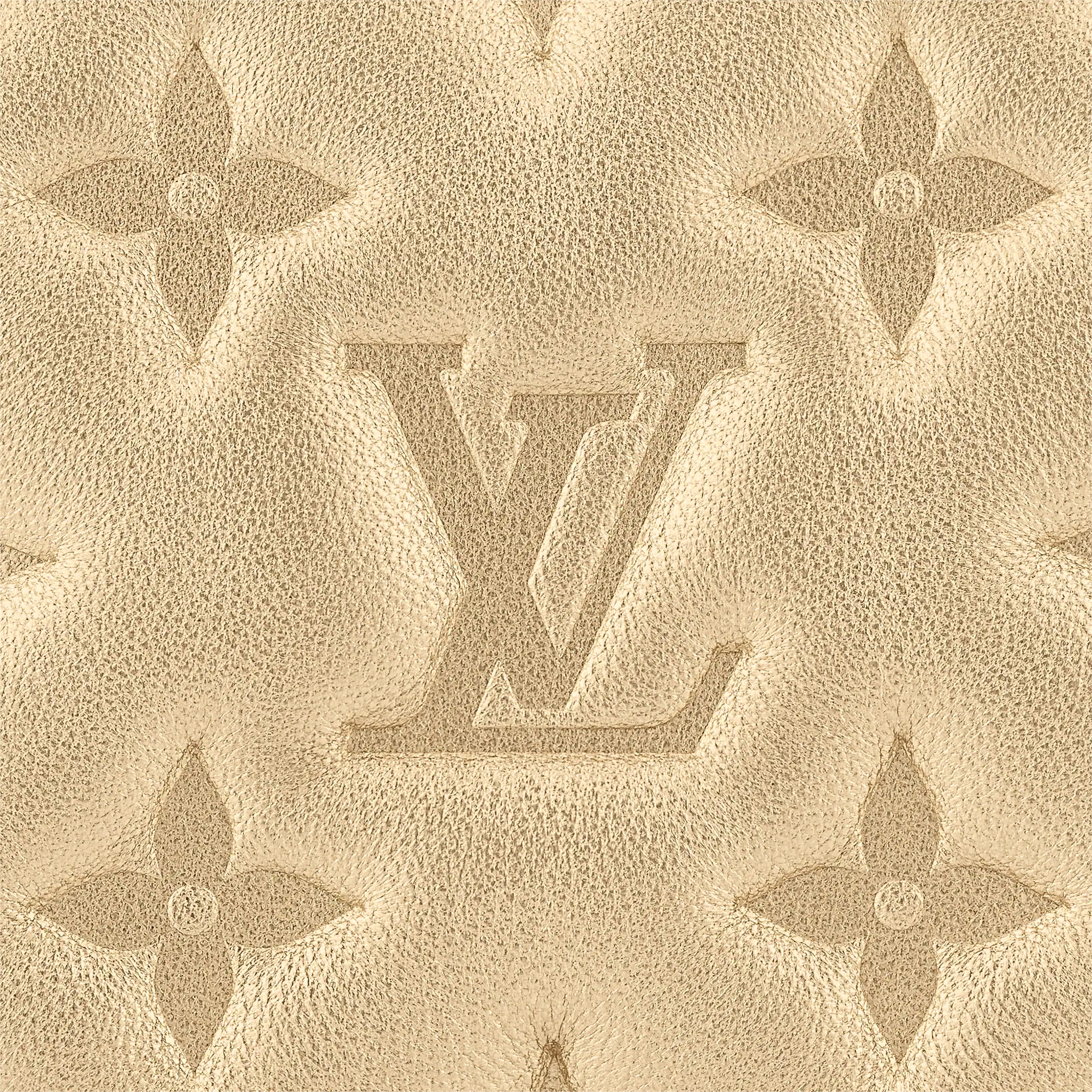 Louis Vuitton Pochette Coussin Other Leathers in Gold - Small Leather Goods M80999