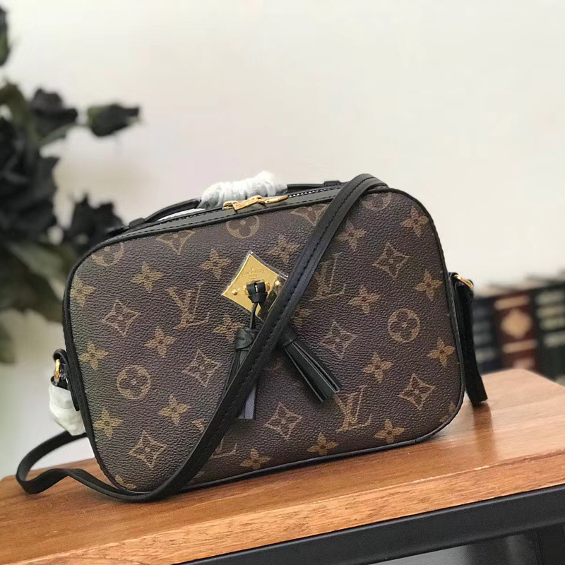 Louis Vuitton Monogram Saintonge Compact Bag M43555 Noir