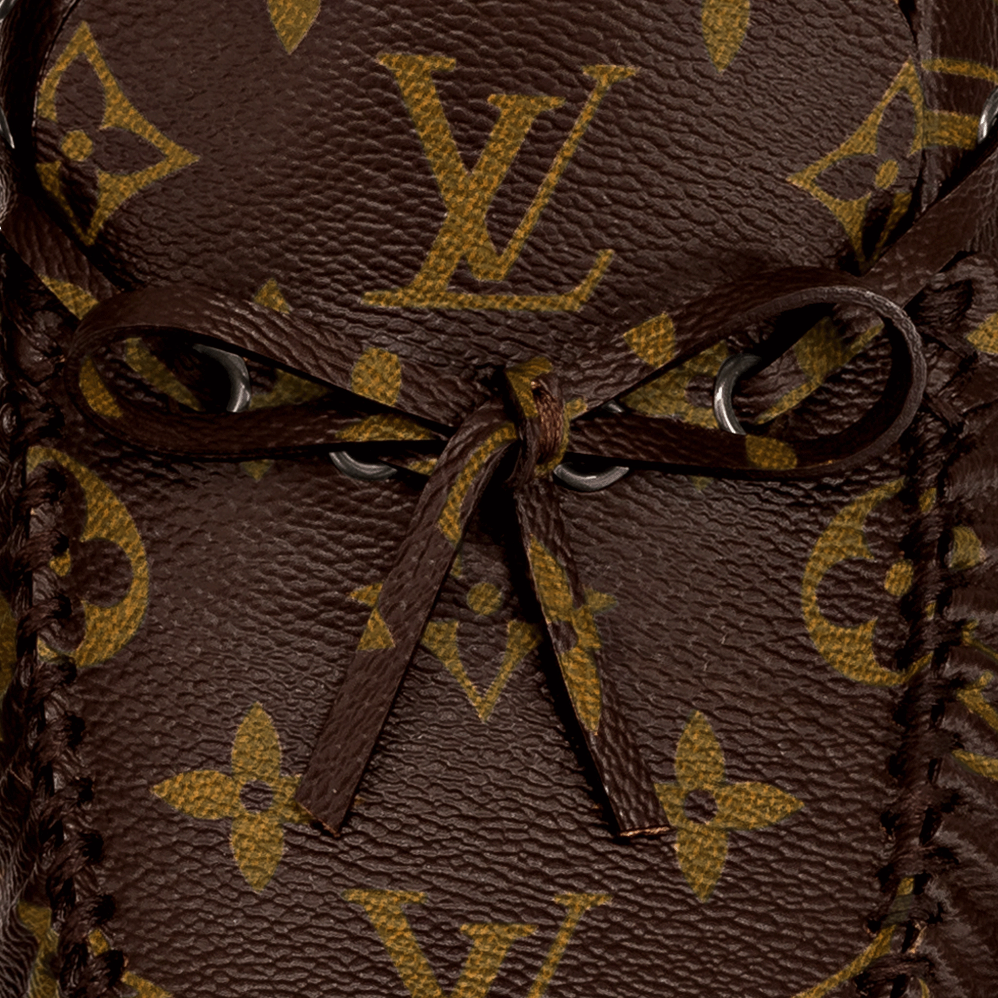 Louis Vuitton ARIZONA MOCASSIN in Brown - Shoes 1A3NCP